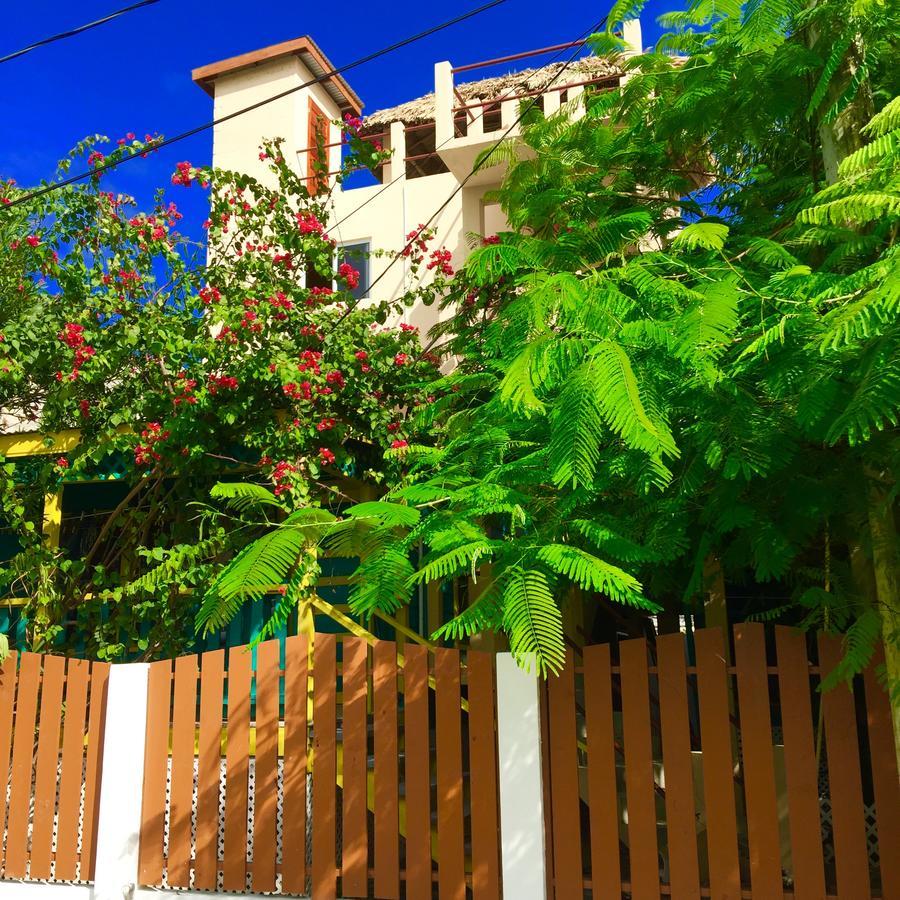 Yocamatsu Bed & Breakfast Caye Caulker Ngoại thất bức ảnh